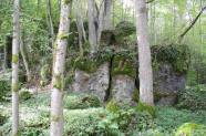 Naturwaldreservat Mannsberg