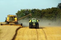 Agroforst Kl