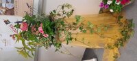 Blumenarrangement bunt