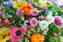 Bunter Blumenstrauß