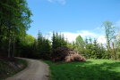 Blick auf einen Holzlagerplatz neben einer Forststraße