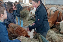 Bäuerin mit Kalb im Kuhstall, ringsum Kinder, greifen ins Stroh
