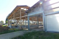 Rinderstall im Bau