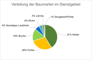 2023_Verteilung Baumarten Dienstgebiet