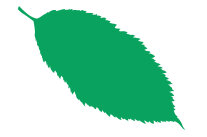 Piktogramm: Vogelkirschenblatt